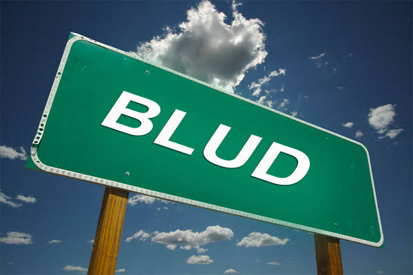 Seluruh Puskesmas dan RSUD Sangkulirang di Kabupaten Kutai Timur (Kutim) belum lama ini resmi menyandang status Badan Layanan Umum Daerah (BLUD)