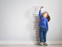 Bahrani Paparkan Beberapa Faktor Penyebab Stunting Dimulai Saat Ibu Hamil