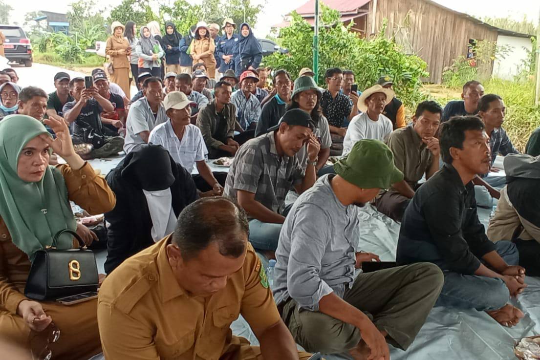 akibat aliran irigasi yang tidak memadai merupakan salah satu faktor yang berkontribusi terhadap kegagalan panen