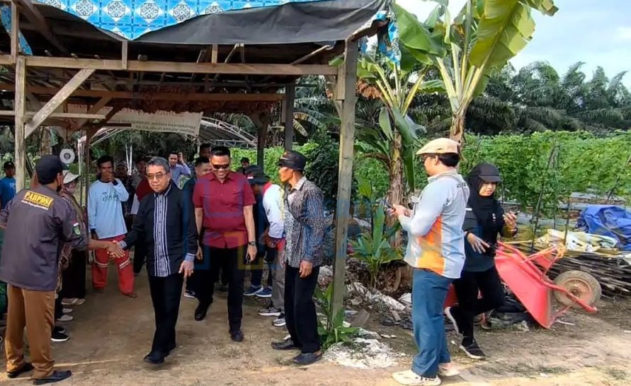 Bupati Kutim Hadiri Panen Bawang Merah di Kecamatan Ranpul