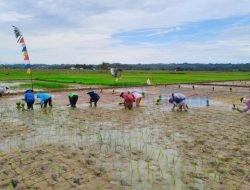 Komisi III DPRD Kaltim Dorong Perhatian Sarana Prasarana Pertanian