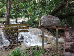 Tangga Bidadari Kaliorang: Wisata Alam Perbukitan dengan Panorama Laut Memukau