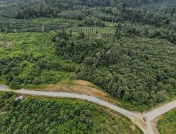 Jalan Provinsi Karangan-Berau Jadi Pintu Ekonomi dan Wisata Utama Kutim Utara, Pemda Soroti Percepatan Pembangunan.